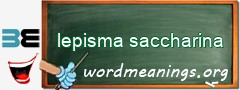 WordMeaning blackboard for lepisma saccharina